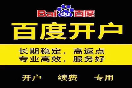 案例展示：SEM账户托管服务成果
